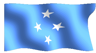 microflag